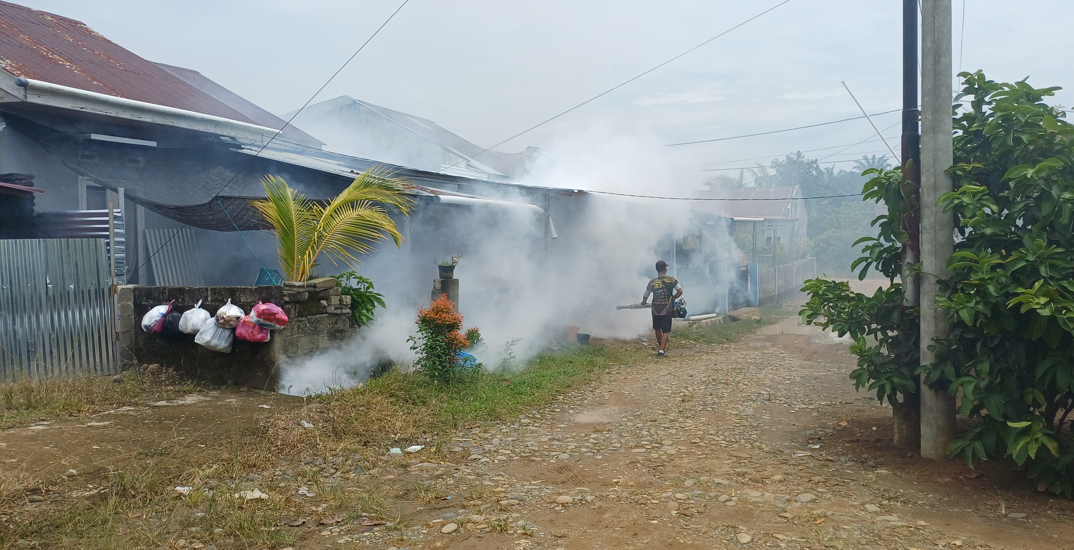 Waspada DBD, Dinkes Mukomuko Lakukan Penelitian Epidemiologi di 17 Puskesmas